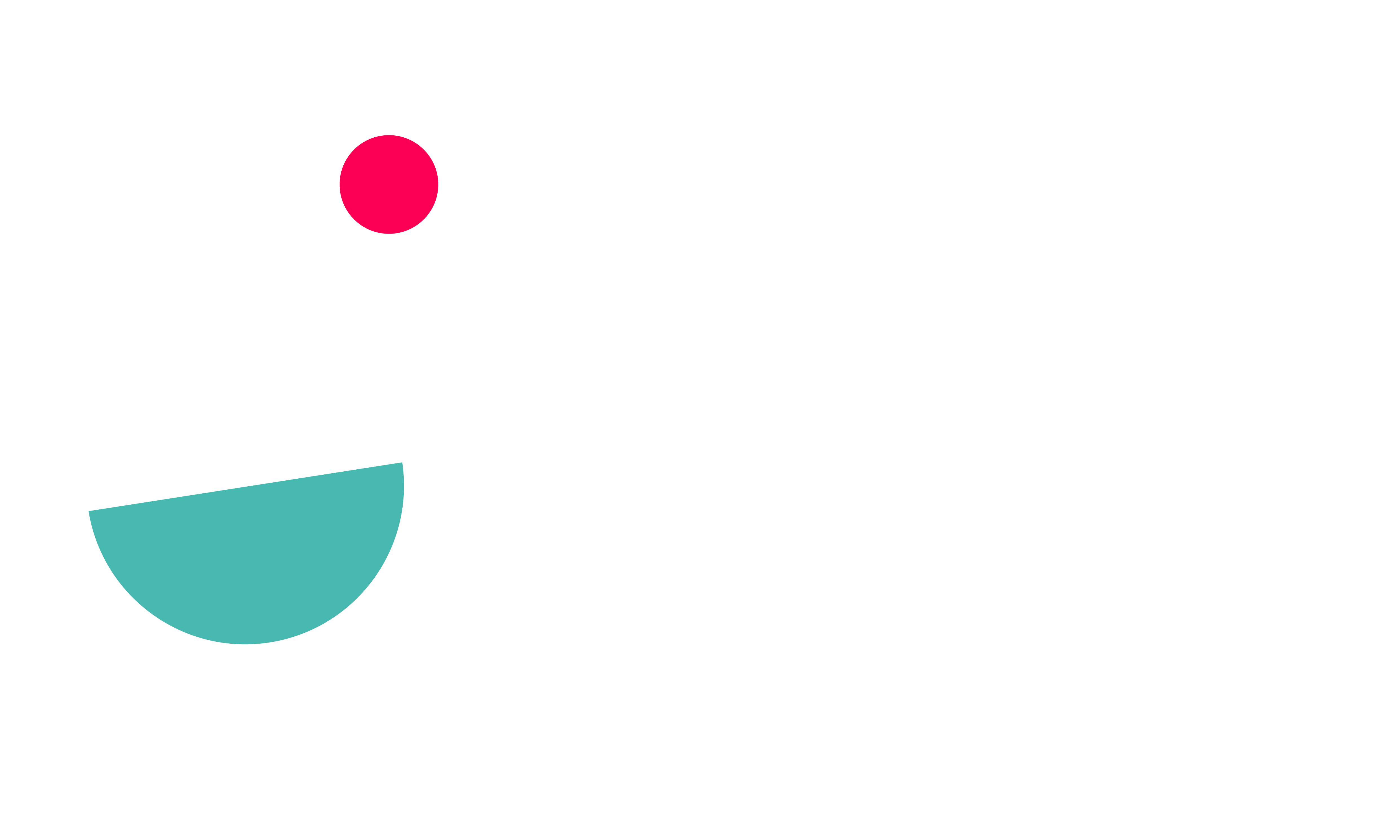 Vlaamse sportfederatie